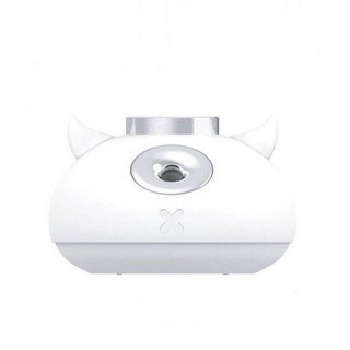 피부관리 소형 수분 공급 미스트 장치 충전식 안개 분사기 양압식 공급기 초음파식 습도조절 초음파 케어 탄력 보습 영양, 없음