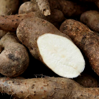 [하루특가] 산속의장어 찐득아삭 100% 국내산 가정용 산약마, 1박스, 2kg