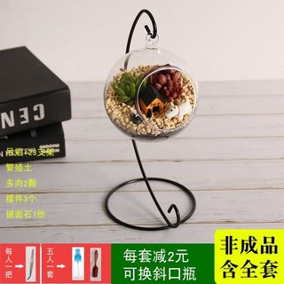 微景觀DIY材料多肉植物苔蘚生態玻璃瓶盆栽組，綠植微觀造景禮品套裝，打造獨特生態小花園, 10cm吊瓶多肉小狗, 1個