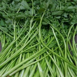 국내산 전라도 산지직송 싱싱 돌 미나리 1kg 4kg (박스포함) 알뜰농장, 1개