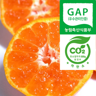 [제주유명농장/당도선별] 농약안심 맛보면단골 제주 감귤, 1박스, 4kg(꼬마감귤)