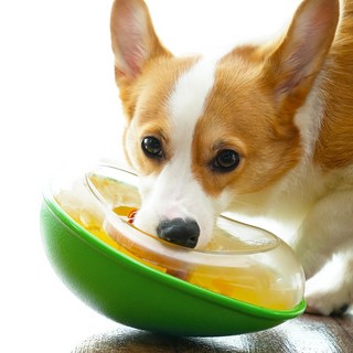 포우퀘스트 아보카도 흘림방지 노즈워크 강아지 간식 장난감, 1세트, 혼합