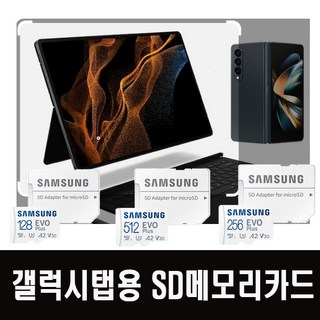 _256GB 삼성 갤럭시탭S9FE플러스 SD메모리카드, 256GB, 1개