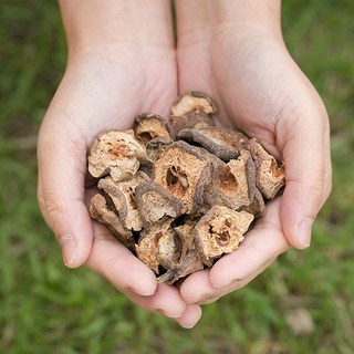 한가람건강원 국산 말린 돌배 한방재료 효능 약재 약초 200g, 1개