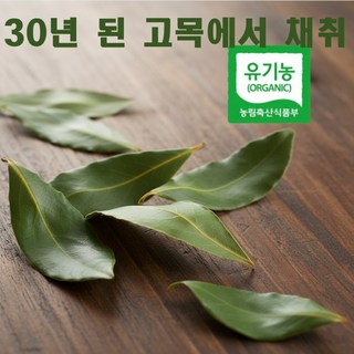 엔젤농장 유기농 국산 월계수잎, 1개, 5g