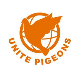 聯白鴿 888 防水洗衣精24瓶裝，台灣精品，防水配方，持久乾爽, 1個