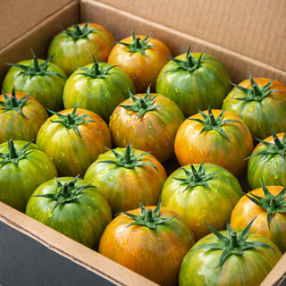 [구매율1위] 고당도 제철 짭짤이 대저토마토, 1개, 2.5kg 가정용 (2s-L)