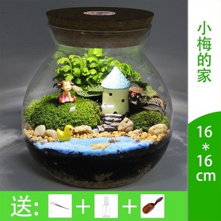 微觀苔蘚綠植物玻璃微景觀組合盆栽生態瓶DIY材料包盆景套裝，打造您的迷你綠色世界, 1個, 小梅的家帶燈（16cm）