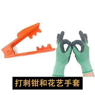 QU61 德漪塑料打刺鉗玫瑰花除刺器鮮花打刺夾子去刺寶花藝插花工具套裝, 1個, 【德漪S4】橘色打刺鉗+花藝防護手套