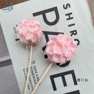 大好屋 10顆裝 松蟲草乾燥花 輪峰菊 藍盆花 插花DIY, 風車果【櫻花粉】大束