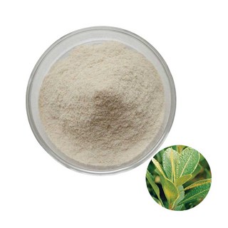 마테추출분말 1kg, 1개, 단품, 1g