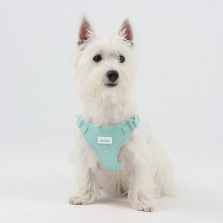 왈츠 하네스 + 리드줄세트 앞섬방지 H형, 스카이블루, 1개