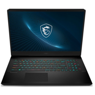 MSI 2022 벡터 GP76 17.3 코어i7 인텔 12세대 지포스 RTX 3080 Ti, Black, 2TB, 64GB, WIN11 Pro, MS-17K