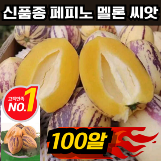 [A급]우휴향 황금 페피노 멜론 씨앗 신품종 크림향 노란과육 인생과 종자 혈당괄리, A급 100알