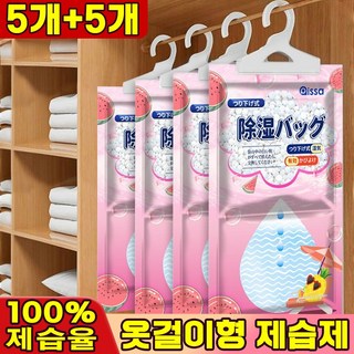 [가성비최고!!] 10/20/40/80 옷장 습기 제거제 옷걸이형 제습제 흡습제 방습제 화장실 제습제 옷장용 대용량, 10개, 100g
