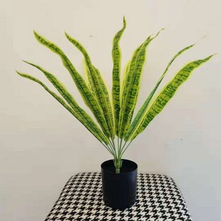 【Sunday】仿真龜背葉盆栽，藤編花籃龜背芋，客廳仿真植物擺件, 50釐米黃邊虎皮蘭, 1個