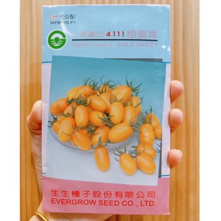 城禾農產 橙蜜香番茄種子 40粒 家庭園藝 種植樂趣 高發芽率 健康美味, 1個