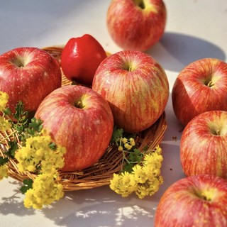 프리미엄 정품사과 고당도 경북 부사 사과 안심포장 산지직송, 1개, 부사 사과 중과 5kg (20~25 내외)