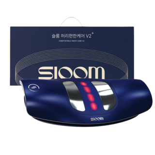 [슬룸 정품] 슬룸 허리편한케어 V2, 1개, SL25EQ01
