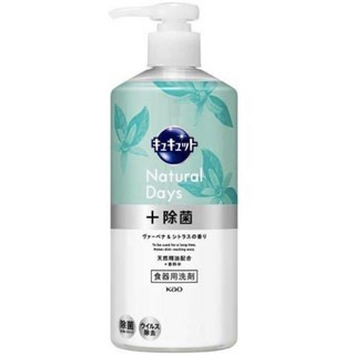 樂選購物 日本花王大容量按壓式洗碗精480ml (三款任選)｜按壓式抑菌洗碗精 珂珂透洗碗精 KAO洗碗精, 1個, 馬鞭草柑橘香 480ml(超取限6)