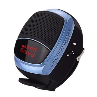 LG 엑스붐GO 무선 휴대용 PL2 강력한, B90 표시 장식 블루 리더기 포함, 패키지 5 32G 노래+신곡 1600곡