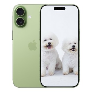 i폰 17 미개봉 새상품, 512GB, Sage