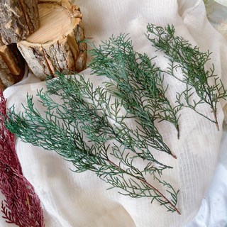 大地農園永生扁柏花圈材料，聖誕節裝飾DIY，永生松柏藍柏，手作花圈禮物, 勃根地酒紅-約10g(誤差10%手工抓量,無法均一樣喔！, 1個