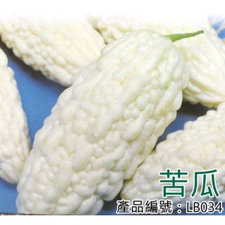 【醬米資材】DIY種子栽種 苦瓜 - 家庭園藝盆栽 新手易種 陽台蔬菜種植首選, 1個