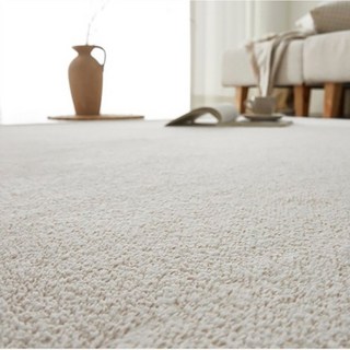 베어슬립 카치온투톤 사계절 워셔블 러그 거실 매트