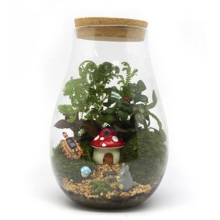 水滴生態瓶 中大型玻璃微景觀青苔苔蘚生態瓶 DIY 悶養生態瓶 附保濕燈蓋, 1個