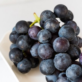 에어셀포장 고당도 거봉 포도, 1개, 1kg(2~3수)