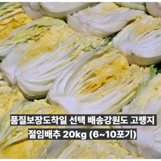강원도 고랭지 절임배추 20kg(4~9포기내외) (배송메세지란 희망도착일 필수입력), 1개, 20kg