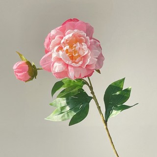 兩頭牡丹現代家居仿真芍藥乾燥花絹花客廳擺件拍照道具, 6366桃紅, 1個