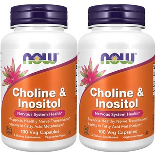 나우푸드 콜린 & 이노시톨 500mg 베지 캡슐, 100정, 2개