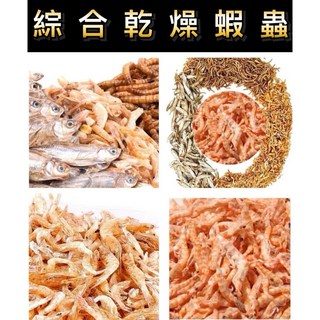 刺蝟專用乾燥南極蝦綜合蟲乾：麵包蟲、大麥蟲、蠅蛆等多種選擇，高蛋白營養均衡，提升免疫力，促進健康成長, 1個, 黑殼蝦乾100g