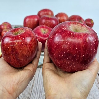 30년 사과장인재배 재구매율1위 부사 홍로 사과, 1박스, 가정용 3kg