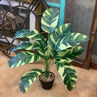 GXS拍照道具 龜背葉仿真植物假盆栽，室內裝飾綠植，免澆水仿真龜背芋盆栽, 12葉青綠旅人蕉-高約65cm, 1個