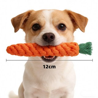 펫 당근 모양 실타래 치실장난감 강아지 애견 놀이용 장난감, 3개, 오렌지색