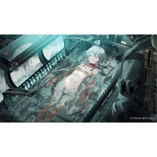 星之終途 漢化版 支援win10 win11 電腦遊戲 冒險遊戲, 1個