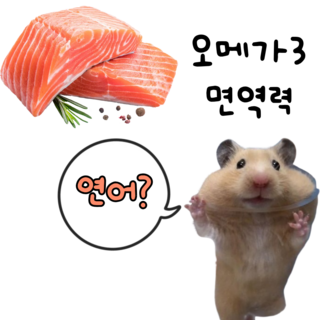 동결건조 연어 트릿 촉촉 큐브 강아지 햄스터 고양이 유산균 간식 동결건조간식, 1개, 10g, 연어맛