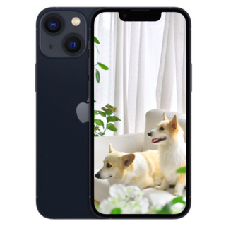 i/폰13 새제품 미개봉, 256GB, 블랙 아이폰 13