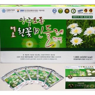 양구 토종 발효흰꽃 민들레진액 (민들레즙), 1개, 1.8L