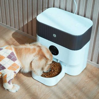 강아지 고양이 자동급식기 리뉴얼 사료급여기 스마트 펫급식기 음성 홈캠 헤이홈, 스마트 펫급식기 리뉴얼