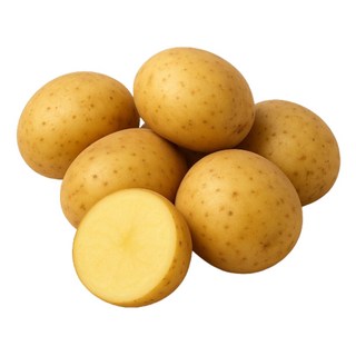 맛있는감자 20kg 국내산 강원도햇감자, 1개, 20kg (왕)