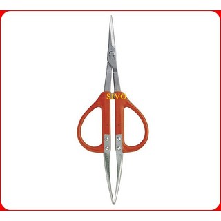 【日本CHIKAMASA】B-300SU 白鐵葡萄剪 附U型鑷 雙頭設計 採果／摘粒兩用 園藝修剪專用, 1個