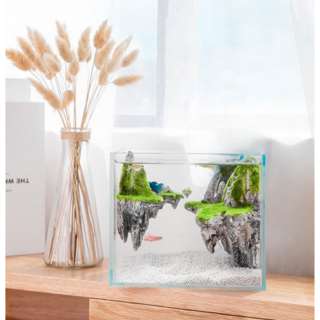 페이토 스카이브릿지 어항 노멀패키지, 1개