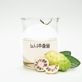 노니추출물-노화관리 주름케어 주름관리 환절기피부관리, 100ml, 1개
