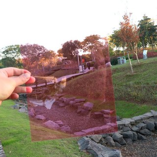 【台灣發貨】彩色PVC塑膠片 彩色玻璃紙 彩色玻璃紙 透明玻璃紙 透光素材 光影pvc膜 透明塑膠片 手工diy透光膠片, 粉色5張, 1個