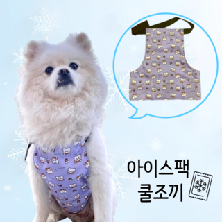 위드앤미 강아지 아이스팩 쿨러조끼, 1개, 보라색 곰돌이