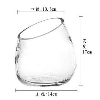 L-one 斜口 生態瓶 苔蘚生態瓶 diy 小玻璃瓶 玻璃花器 玻璃花盆 玻璃盆栽 園藝 園藝裝飾 水培植物 魚缸, 大號(超取只能2組)